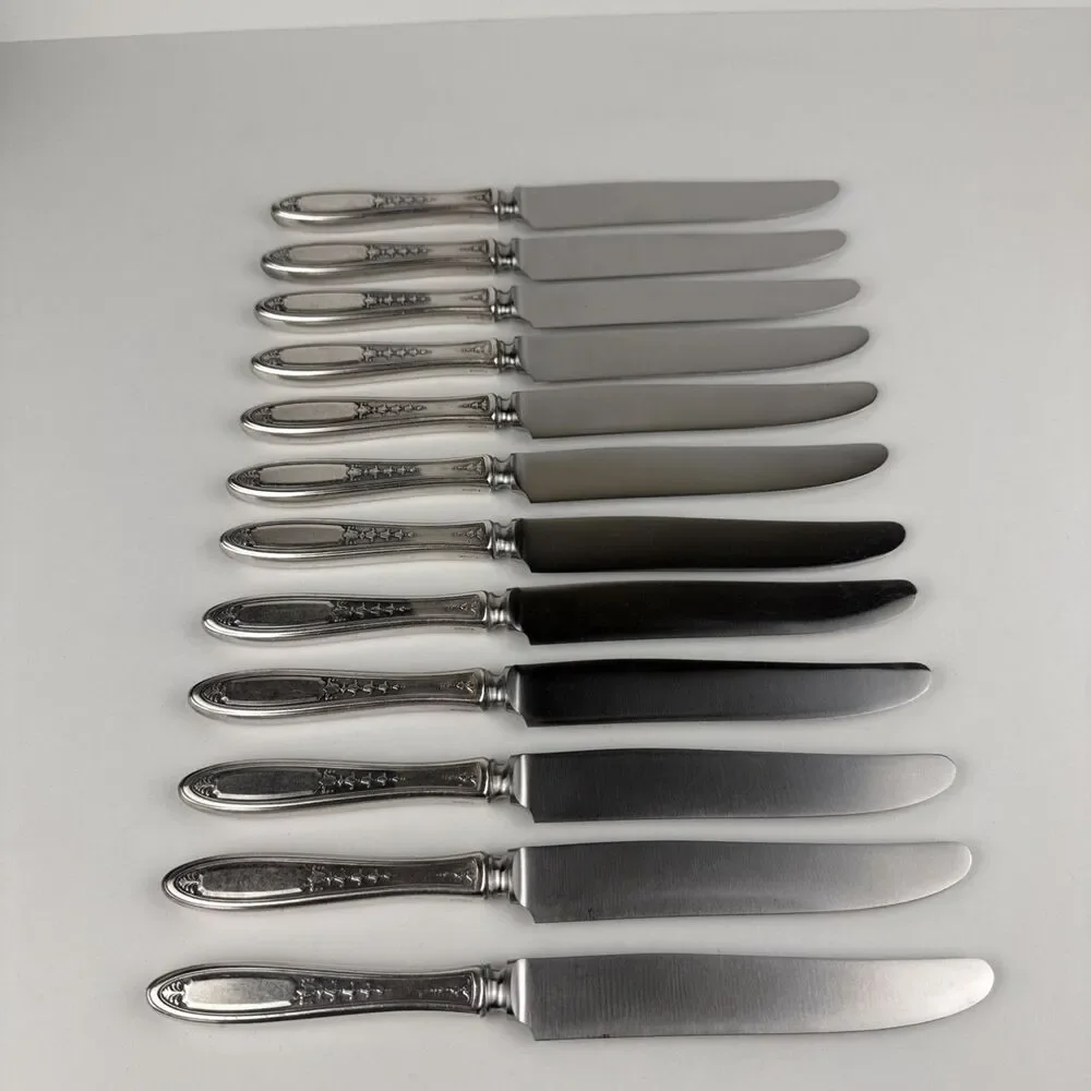 50-piece Set Tudor Plate Oneida Community Enchantment Bounty Silverware In Chest